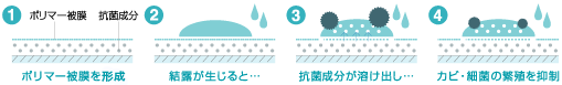 抗菌成分が少しずつ溶け出し、効果が約1年間持続。