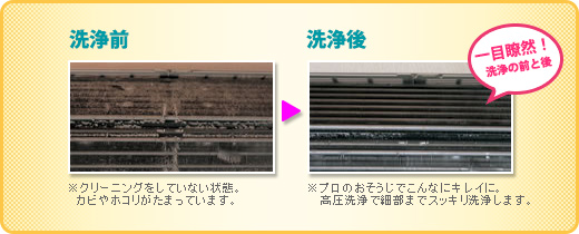 エアコンクリーニング後は熱交換器がこんなにすっきり。